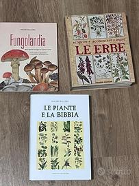 Libri le Erbe Le piante nella Bibbia Fungolandia