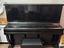 Immagine 5