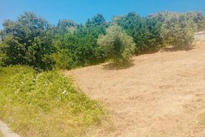 Terreno Edificabile- Rose