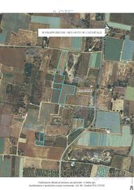 Terreno Agricolo Mola di Bari [A4294263]