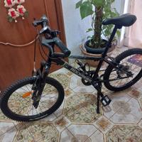 bici rocrider 20 pollici 