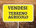 terreno-agricolo-rivignano