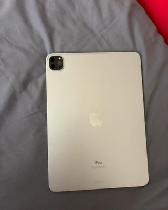 ipad pro 2021 11  256gb