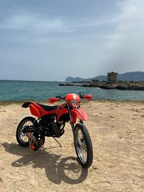 Beta RR