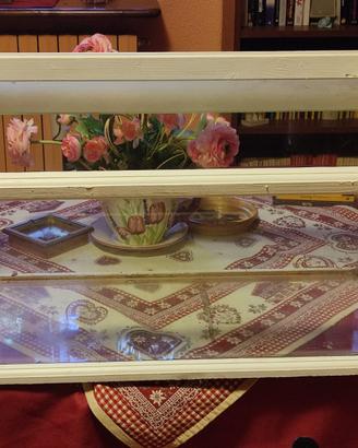 Terrario/acquario per tartarughe