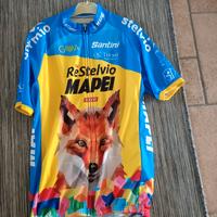 maglia santini da collezione 