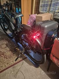 bicicletta fantica pedalata assistita 