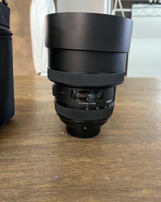 Sigma ART 12-24 f4 DG
