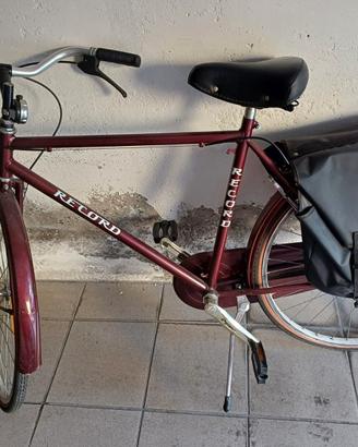 bicicletta da Uomo 
