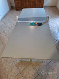 Tavolo ping pong