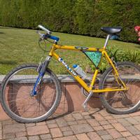 bici mountain bike