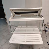 acquario mirage 80