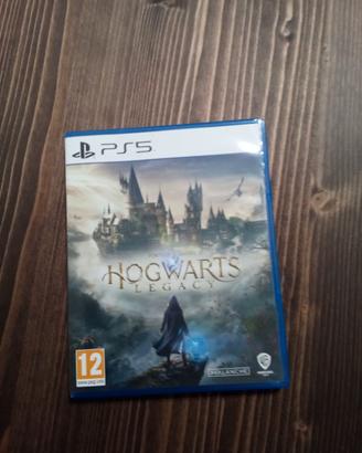 Hogwarts Legacy Ps5
