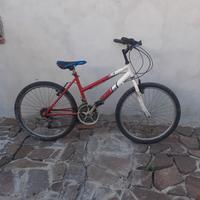BICICLETTA 