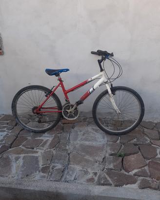 BICICLETTA 