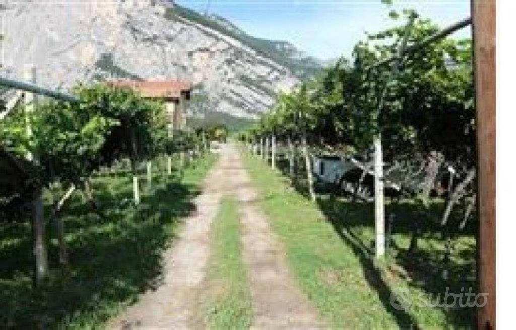 Immobile in asta di 2417 m² a Madruzzo - Vista 3