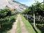 Immagine 3