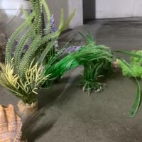 Addobbi per acquario