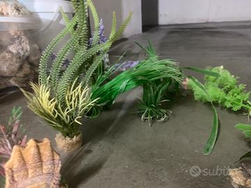 Addobbi per acquario