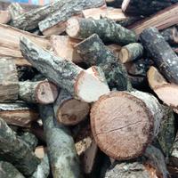 legna secca quercia 
