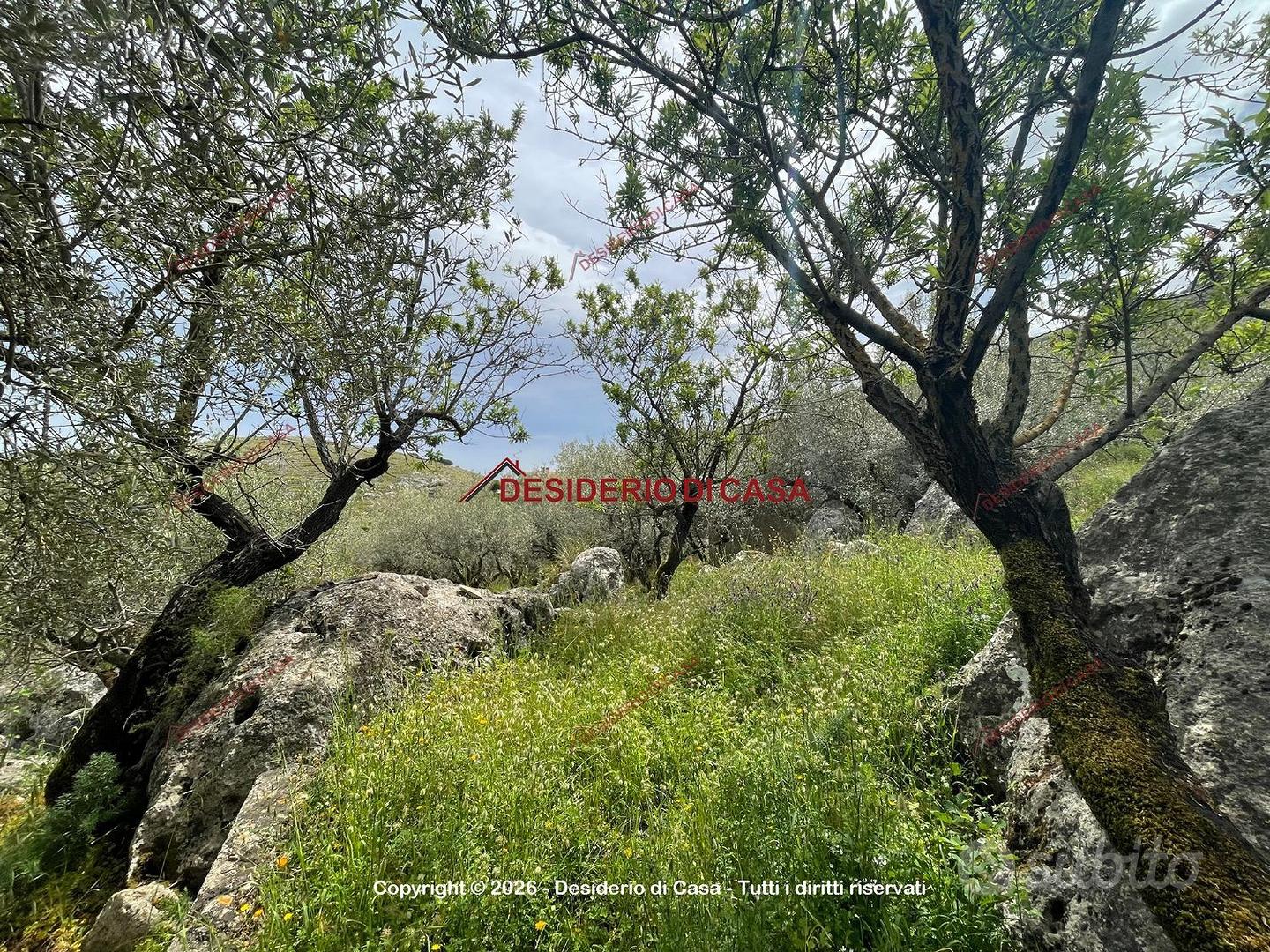 Terreno, Monreale. - Vista 3