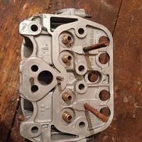 Testa vecchia cinquecento