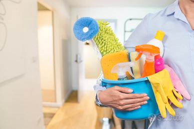 Assistente domestica/pulizie