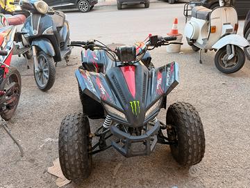 Quad profive sportmax ruota 8