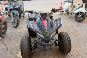 Quad profive sportmax ruota 8