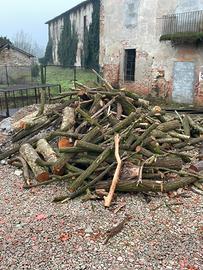 Legna da ardere in tronchi