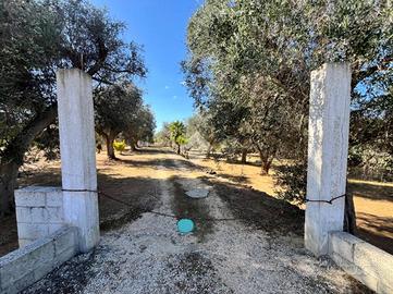 TER. AGRICOLO A MESAGNE