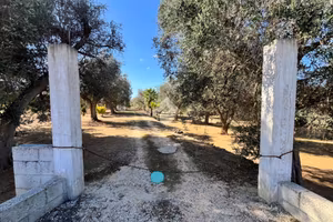 TER. AGRICOLO A MESAGNE