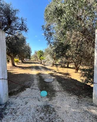 TER. AGRICOLO A MESAGNE
