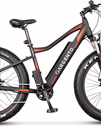 E-BIKE FAT-BIKE  ARGENTO ELEPHANT RED