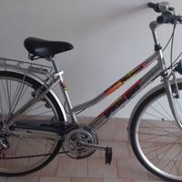 bicicletta telaio alluminio