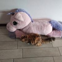 Peluche unicorno cavalcabile