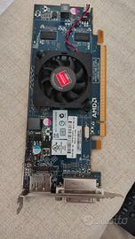Scheda video AMD ATI radeon HD 6450 1GB DD3 C264