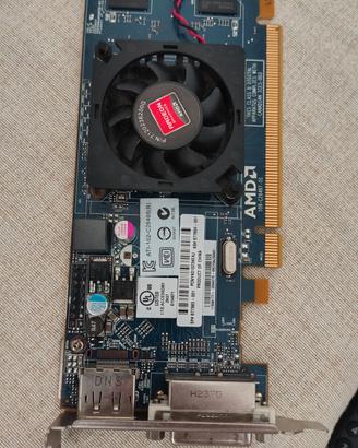 Scheda video AMD ATI radeon HD 6450 1GB DD3 C264