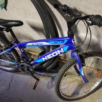 Bicicletta