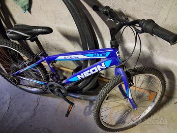 Bicicletta