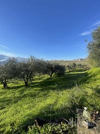 Terreno Agricolo Santi Cosma e Damiano [V314VCG]