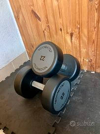 MANUBRI DUMBBELL TECHNOGYM