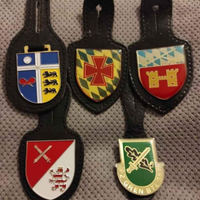 Distintivi militari tedeschi, anni 80/90