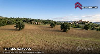 Terreno Agricolo - San Vincenzo