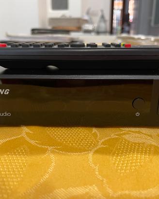 Decoder digitare terrestre Strong srt 8216