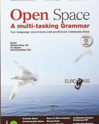 Open Space A multi-tasking Grammar libro