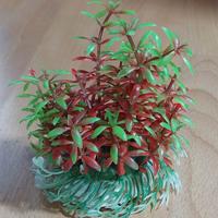 Piantina finta acquario piccola – Come nuova