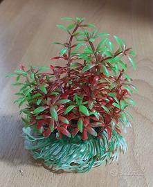 Piantina finta acquario piccola – Come nuova