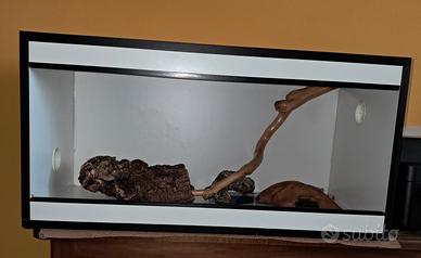 terrario in legno completo 