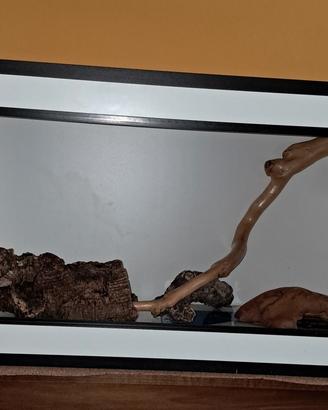 terrario in legno completo 
